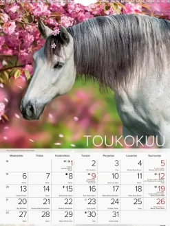 Best Seinakalenteri 2024 Hevoset Kalenterit