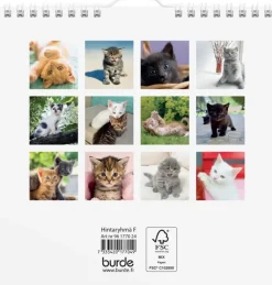 New Seinakalenteri 2024 Kissanpennut Kalenterit