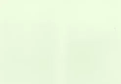 J.K. Primeco Askartelutarvikkeet-2-Os Helmiaiskortti Vaaleanvihrea 10Kpl