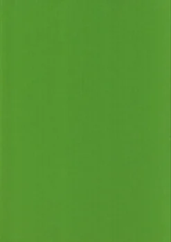 Karto Askartelutarvikkeet-nki A4 220Gsm Kirkkaan Vihrea 5Ark/Pss