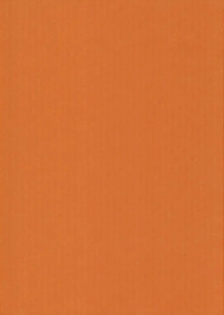 Best nki A4 220Gsm Oranssi 5Ark/Pss Askartelutarvikkeet