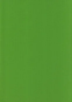 New Kortti Kirkkaan Vihrea 10X15Cm 220Gsm 10Kpl/Pkt Askartelutarvikkeet