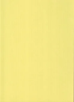 Karto Askartelutarvikkeet-Kortti Vaaleankeltainen 10X15Cm 220Gsm 10Kpl/Pkt