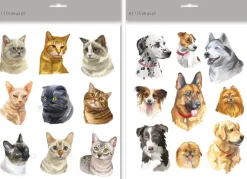 Kapel Askartelutarvikkeet-Kiiltokuvat