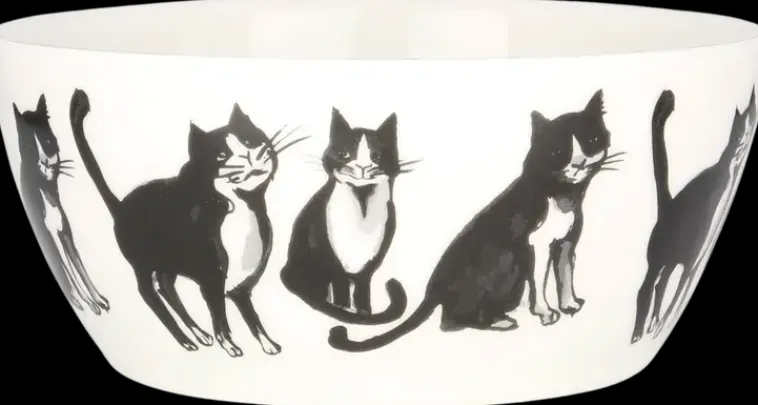 Hot Kulho 4 Dl Kissan Ystava Astiat