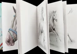 Miss Melody Askartelutarvikkeet-Special Varityskirja