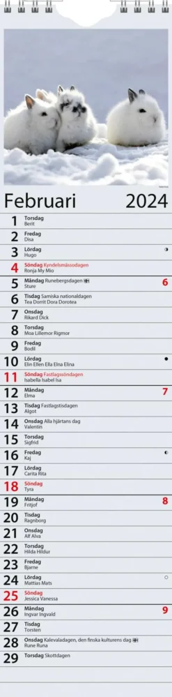 Seinakalenteri Kotimuistio/Hemkalendern Kalenterit