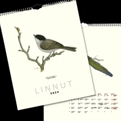 Outlet Seinakalenteri Linnut Von Wright 2024 Kalenterit